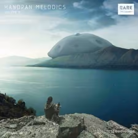 RARE Percussion Handpan Melodics Vol.2 [WAV]