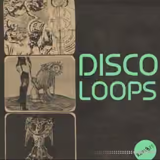 Raw Loops Disco Loops [WAV]