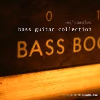 Realsamples Bass Guitar Collection [MULTiFORMAT]