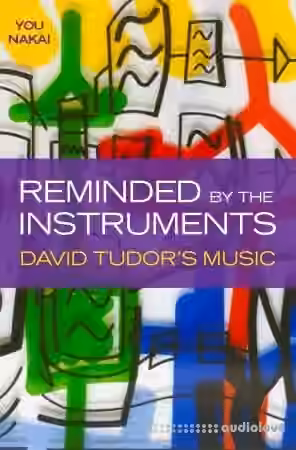 Reminded by the Instruments: David Tudor's Music
