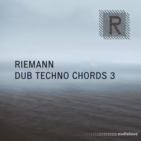 Riemann Kollektion Riemann Dub Techno Chords 3 [WAV]