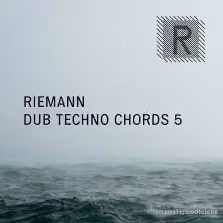 Riemann Kollektion Riemann Dub Techno Chords 5 [WAV]