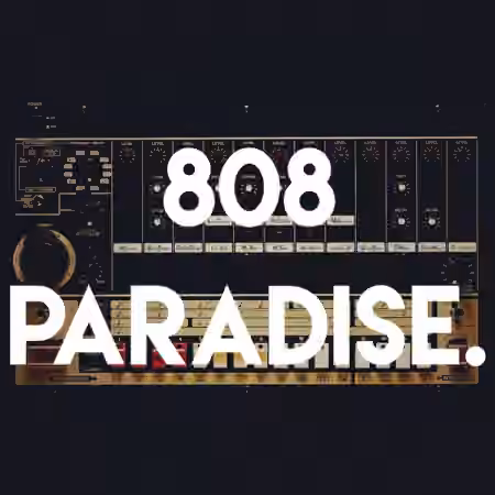 S-X 808 Paradise Sample Pack [WAV]