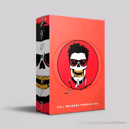 Sali Records Production Drum Kit [WAV]