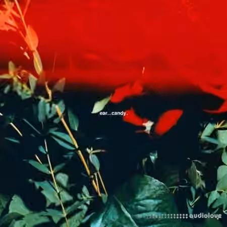 Sam Brodie ear...candy (Compositions and Stems) [WAV, MiDi]