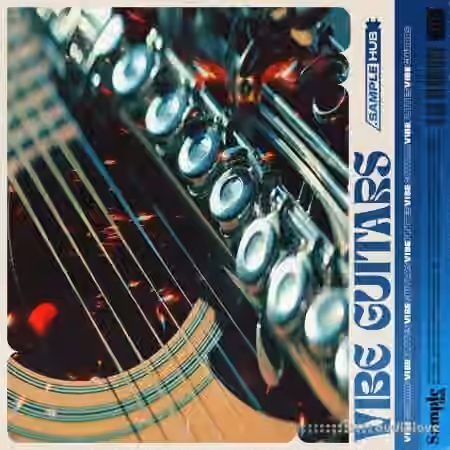 Sample Hub Vibe Guitars 2 [WAV]