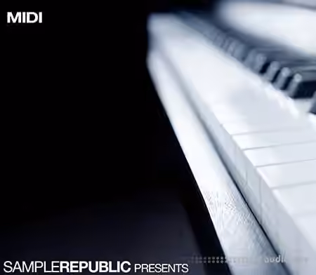 Sample Republic Vintage Chords [MiDi]