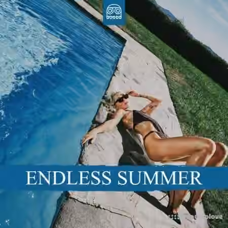 Samplekids Endless Summer [WAV, MiDi]