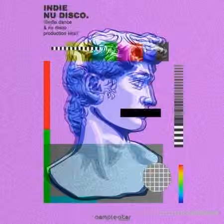 Samplestar Indie Nu Disco [WAV]