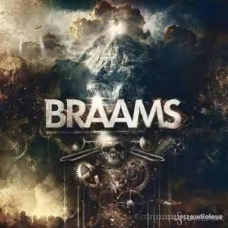 SampleTraxx Braams v1.1 [KONTAKT]