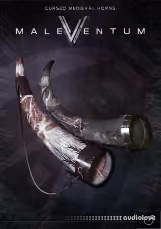 Silence+Other Sounds Maleventum (REPACK) [KONTAKT]