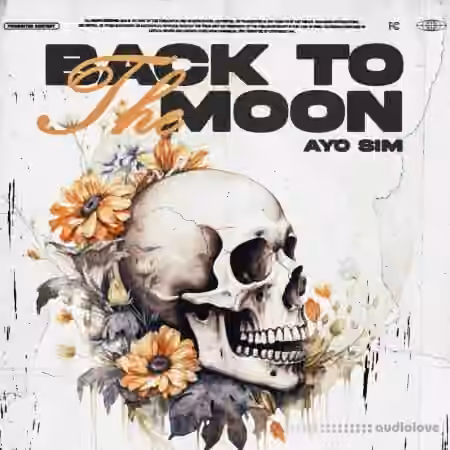 Sim Back to the Moon Bundle [WAV, MiDi]