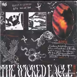 Sim The Wicked Eagle Kit [WAV]