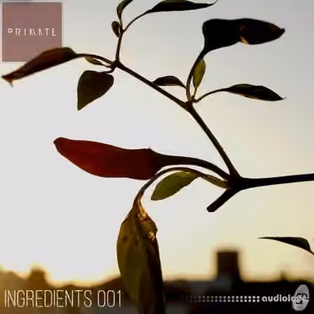 SmallPrint Ingredients 001 Primate [WAV]