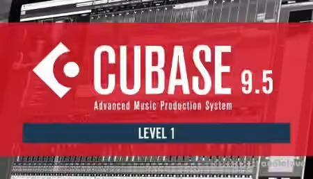 Sonic Academy How To Use Cubase 9.5 Beginner Level 1 [TUTORiAL]