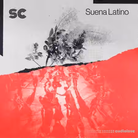 Sonic Collective Suena Latino [WAV, MiDi, Synth Presets]