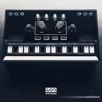 Soul Surplus Black Box [WAV]