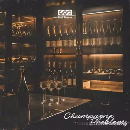 Soul Surplus Champagne Problems [WAV]