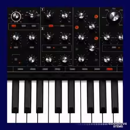 Soul Surplus Synth Pack Vol.2 (Compositions And Stems) [WAV]