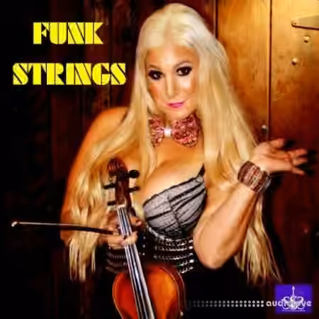 Soulful String Samples FUNK STRINGS [WAV]