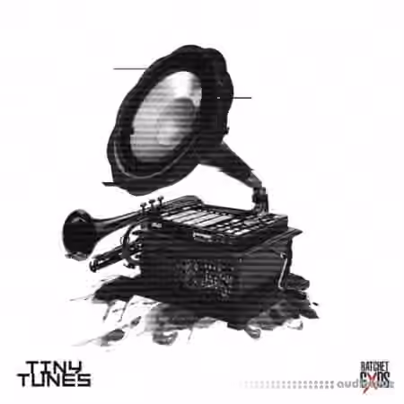 Sound Junkie Bouncegxd Tiny Tunes [WAV]