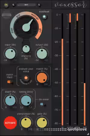 Soundevice Digital Voxessor v2.9 [WiN]
