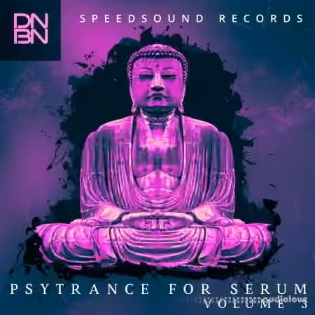 Speedsound Dnbn Psytrance For Serum Volume 3 [Synth Presets]