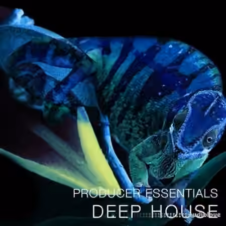 SPF Samplers Producer Essentials Deep House [WAV, MiDi, Synth Presets]