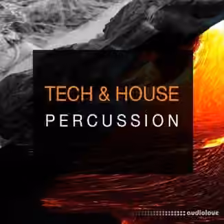 Spf Samplers Tech and House Percussion [WAV]