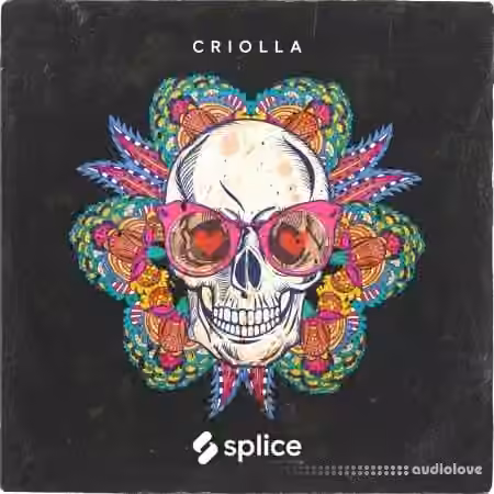 Splice Originals Criolla Latin Percussion [WAV]
