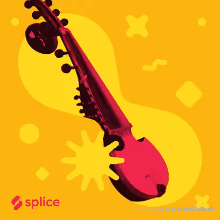 Splice Originals Indian Roots [WAV]