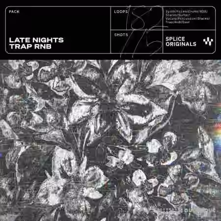 Splice Originals Late Nights: Trap RnB [WAV, Synth Presets]