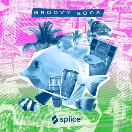 Splice Sessions Groovy Soca [WAV]