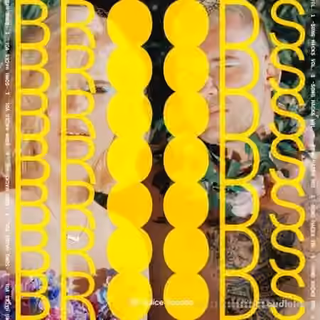 Splice Sounds Broods Song Hacks Vol.1 [WAV]