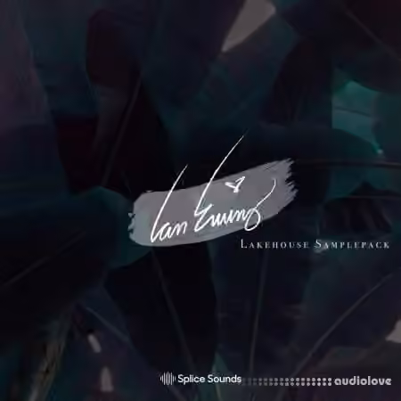Splice Sounds Ian Ewing Lakehouse Sample Pack [WAV]