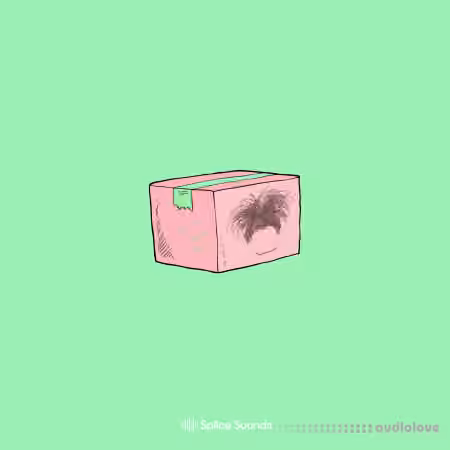 Splice Sounds OSHI's Care Package Vol.2 [WAV, MiDi]