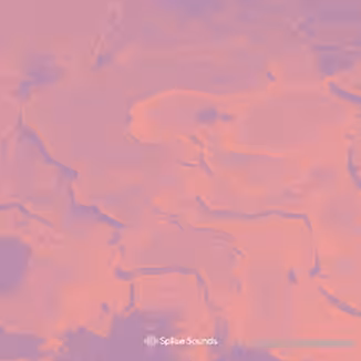 Splice Sounds Yu Su Sample Pack [WAV]