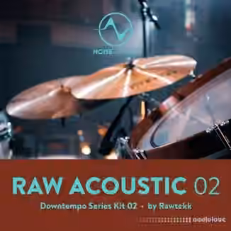 Steinberg Noise Design Raw Acoustic Downtempo 2 [Synth Presets]