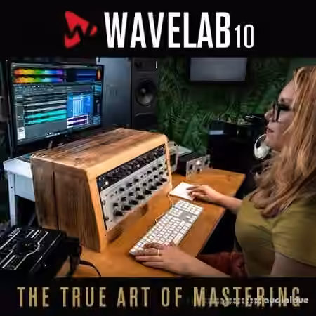 Steinberg WaveLab Elements v10.0.20 XT [WiN]
