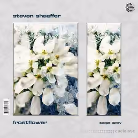 Steven Shaeffer Frostflower Sample Library [WAV]