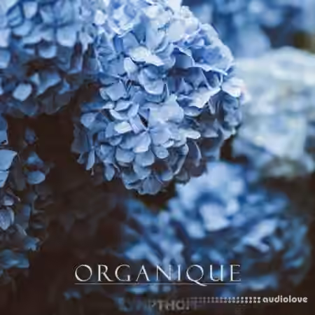 Sympthom ORGANIQUE [WAV, MiDi, Synth Presets]