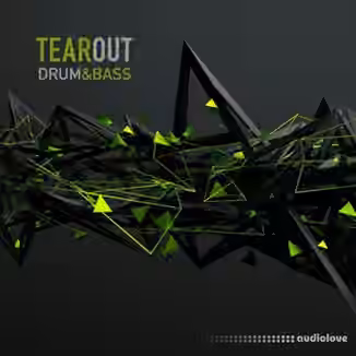 Taelimb Tearout DnB [WAV, Sampler Patches]