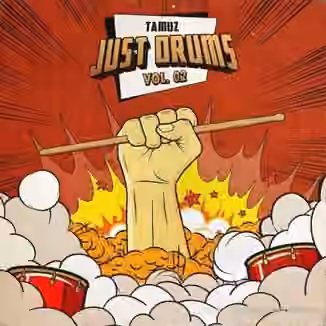 Tamuz Just Drums Vol.2 [WAV]