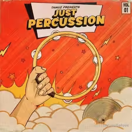 Tamuz Just Percussion Vol.1 [WAV]