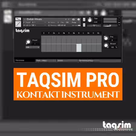 TAQS.IM Kontakt Pro Library [KONTAKT]