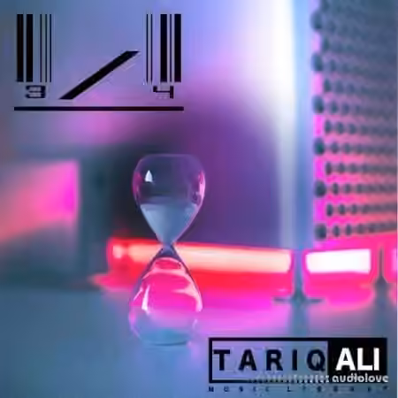Tariq Ali 3/4 [WAV]