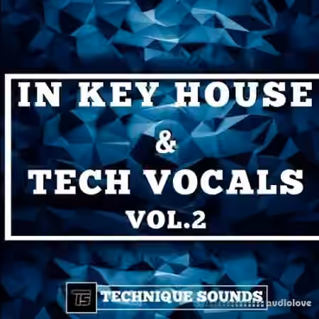 Technique Sounds In Key House and Tech Vocals Vol.2 [WAV]