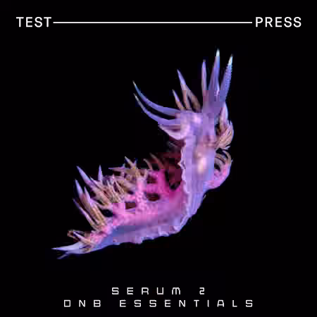 Test Press Serum 2 DnB Essentials [Synth Presets]