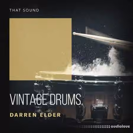 That Sound Vintage Drums [WAV]