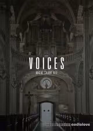 The Kit Plug Voices (Vocal Kit) [WAV]